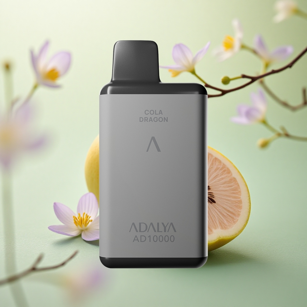 Adalya AD 10000 Space Gray Aluminum USB-C Disposable Vape